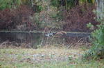 DSC_2142.JPG