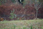 DSC_2143.JPG