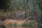 DSC_2144.JPG