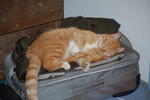 DSC_2165.JPG