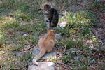 DSC_2272.JPG