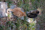 DSC_2274.JPG