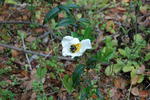 DSC_2314.JPG