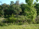 20030413-180444