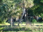 20030413-180451