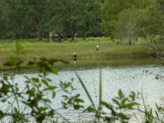 20031004-142847