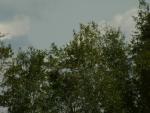 20031004-143424