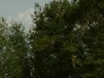 20031004-143425