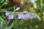 DSC_2844.JPG