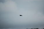 DSC_4410.JPG