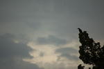 DSC_4439.JPG