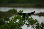 DSC_4440.JPG