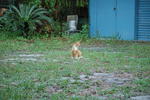 DSC_4647.JPG