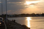 DSC_4783.JPG