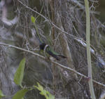 DSC_4925.jpg