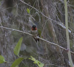 DSC_4927.JPG