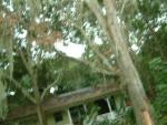 20040813-151719