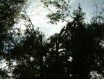 20040814-081605