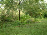20040814-081654