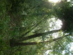 20040814-081749
