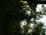 20040814-081814