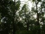 20040814-081854